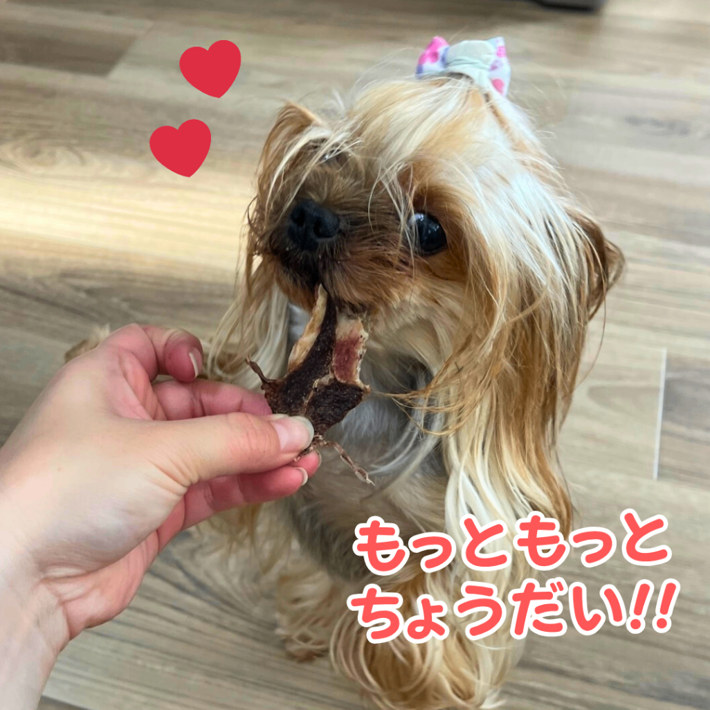 いまだけ２パックのみ50g増量！
ペット用！いのししジャーキー（イノチップス）