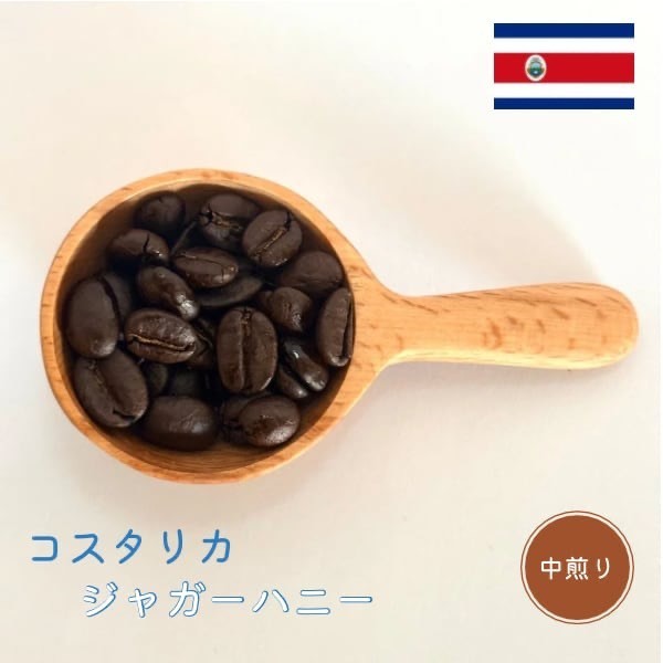 中煎り | コスタリカ　ジャガーハニー