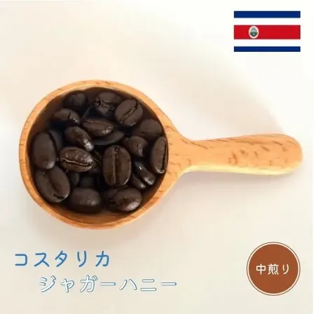 中煎り | コスタリカ　ジャガーハニー