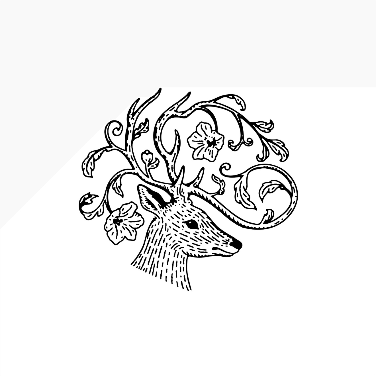 屋久島アトリエariga-to