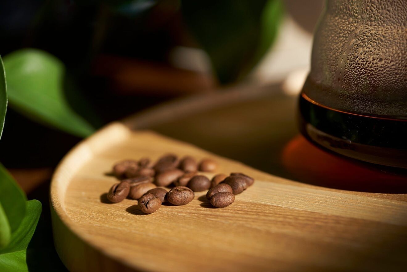 しょう@国際コーヒー鑑定士