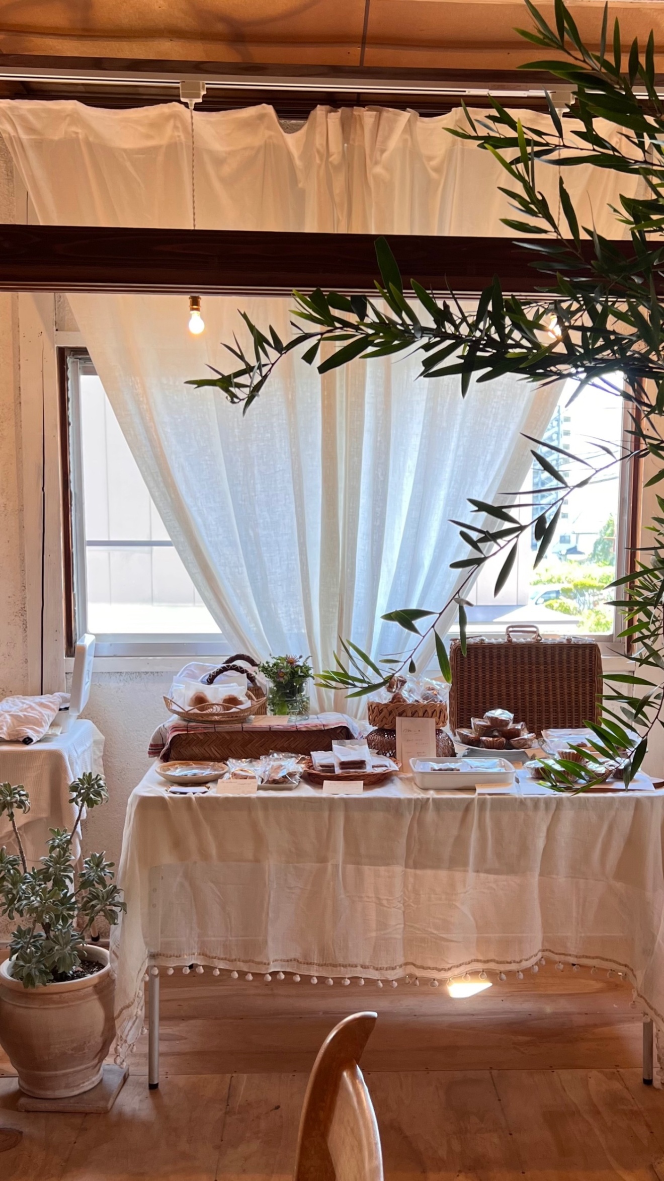 みゅー@プラントベース 焼き菓子販売♫