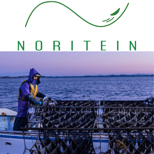 宮城のノリ🌊味のり特別価格で販売中✨