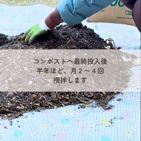 ぽにこ@気づけばオン秘書🌱趣味は土🌱