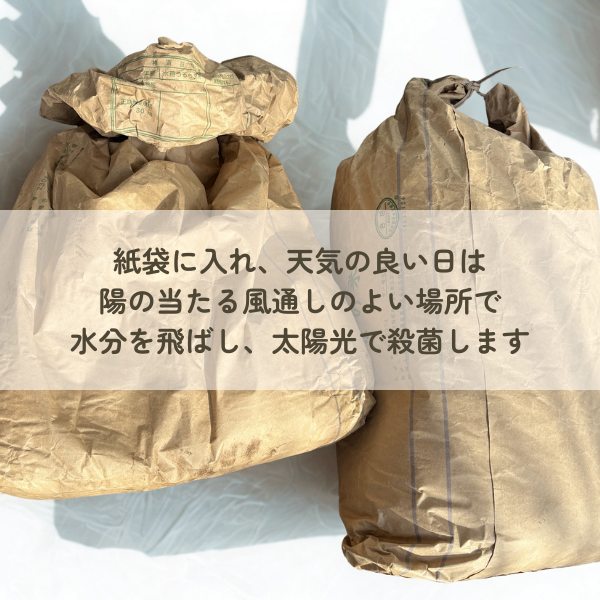 ぽにこ@気づけばオン秘書🌱趣味は土🌱