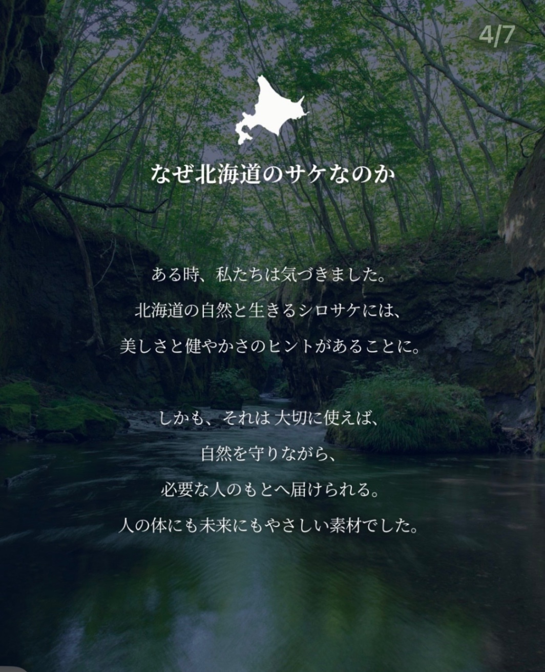 ともぴ＠つやぷるお肌屋と膝サプリ屋🦵