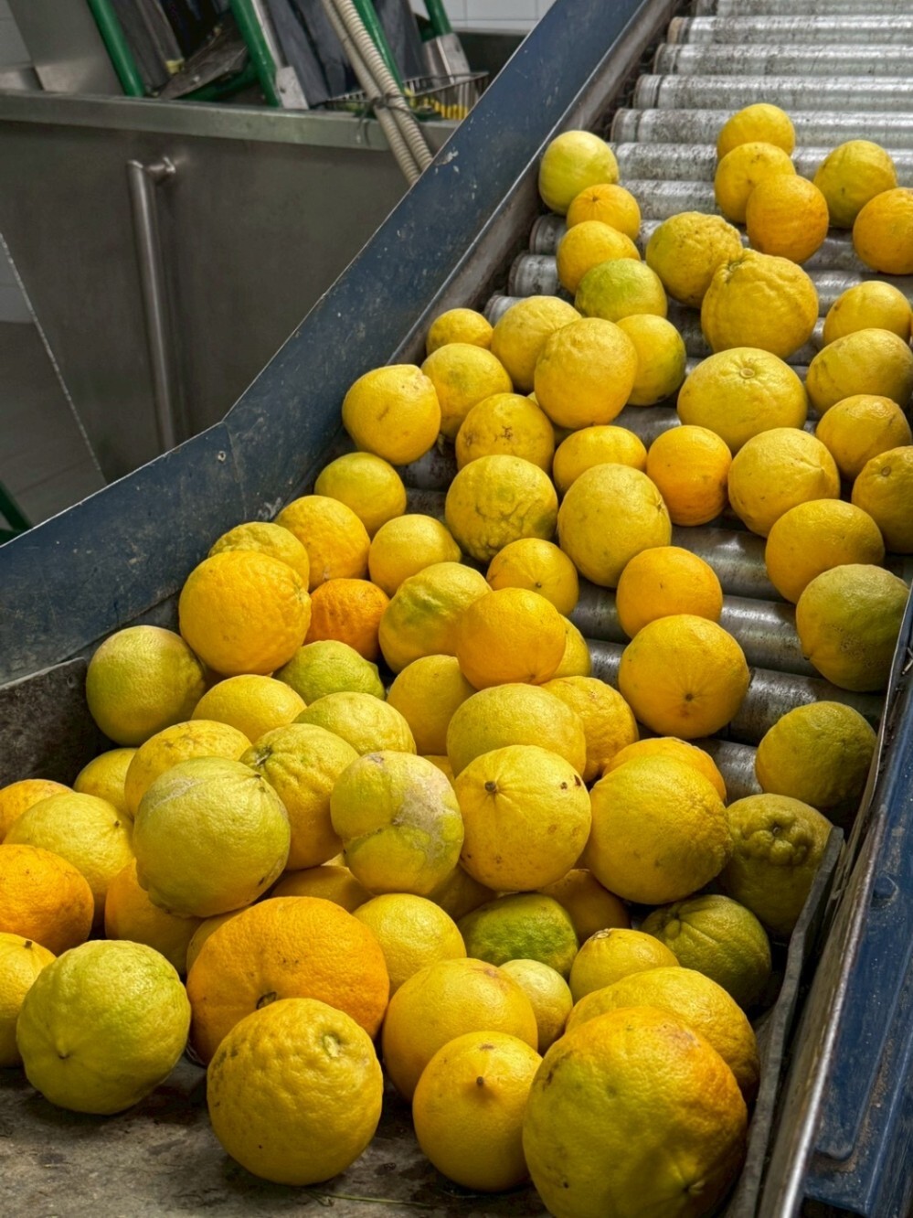 KUMAKO@アロマセラピスト大分