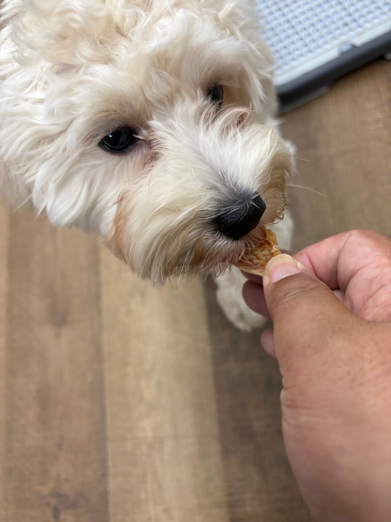 ほほえみK@就B経営/レンスペ・民泊経営