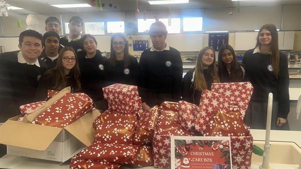 TY Christmas Care Appeal