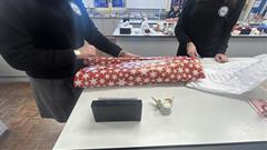 TY Christmas Care Appeal