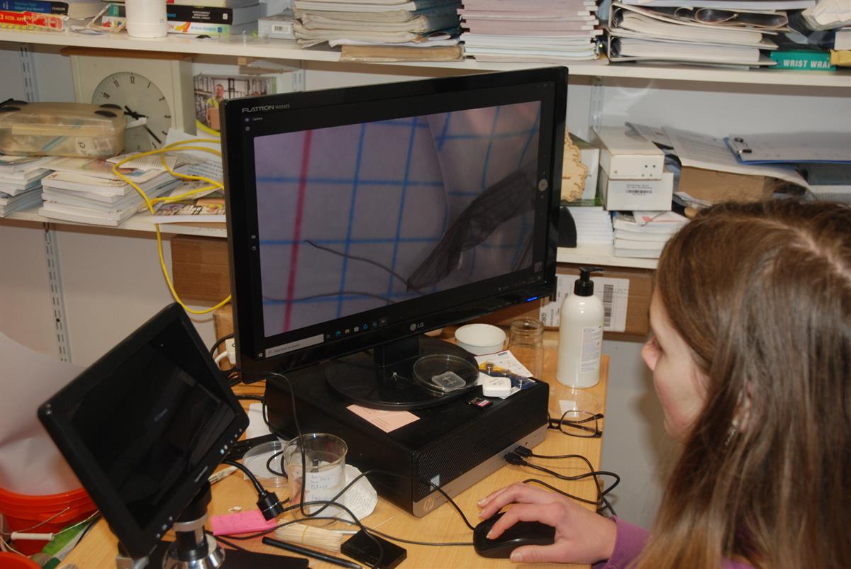 Mary Immaculare Secondary School is competing in SciFest@TUS Limerick