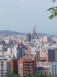 TY Cultural Education Trip 2026