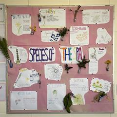 Green School