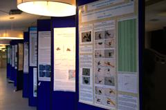 Lisdoonvarna student exhibits her research at IGRM 2026 - Irish Geoscience Research Meeting