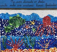 Marine Biodiversity