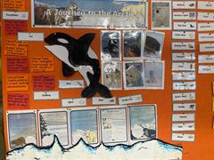 5th class and the Orca Adventure