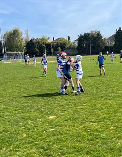 Senior Hurling