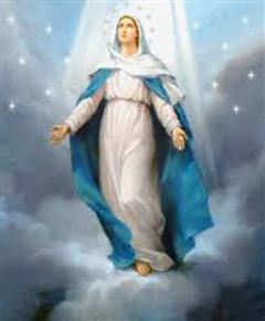 Feast of the Immaculate Conception – 8th December 2025