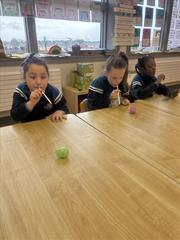 STEM in Senior Infants