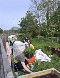 Transition Year: Volunteering day!