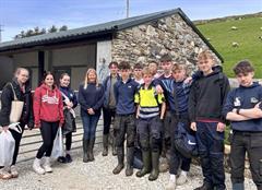 Transition Year: Volunteering day!