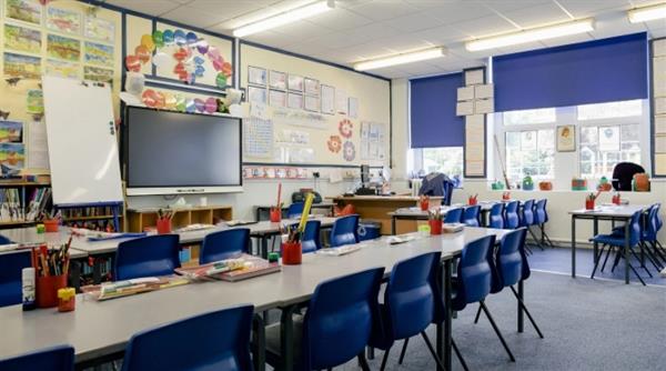The Primary School Survey – our school’s results and next steps