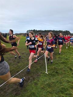 Athletics -  North Leinster Schools Cross Country