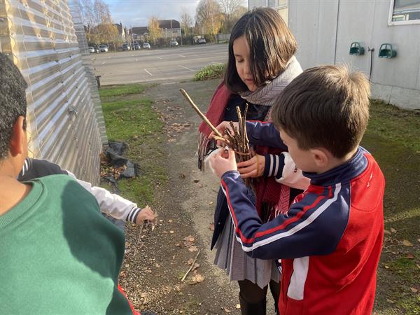 Update from 4th Class