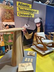 World Skills and Higher Options careers events at the RDS