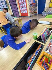 Science Week in Senior Infants