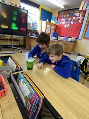 Science Week in Senior Infants