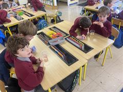 Science Week in Senior Infants