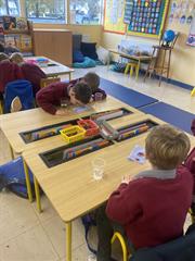 Science Week in Senior Infants