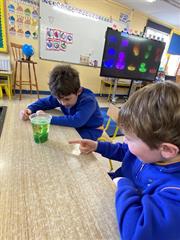 Science Week in Senior Infants