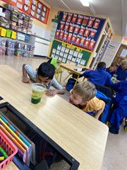 Science Week in Senior Infants