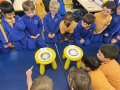 Science Week in Senior Infants