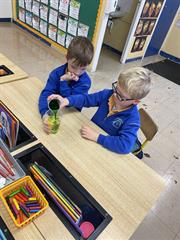 Science Week in Senior Infants