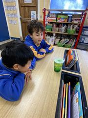 Science Week in Senior Infants