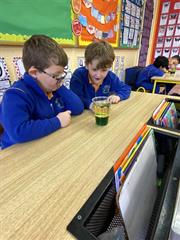 Science Week in Senior Infants