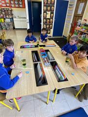 Science Week in Senior Infants