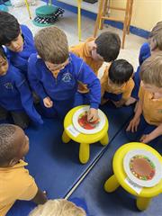 Science Week in Senior Infants