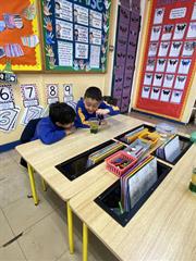 Science Week in Senior Infants