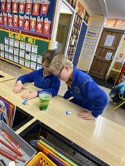 Science Week in Senior Infants