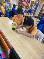 Science Week in Senior Infants