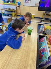 Science Week in Senior Infants