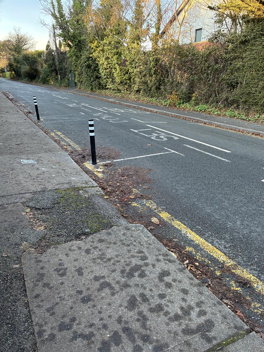 Greenschool Travel Flag