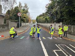 Greenschool Committee Road Safety Audit of local community
