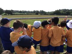Fun at the Farm