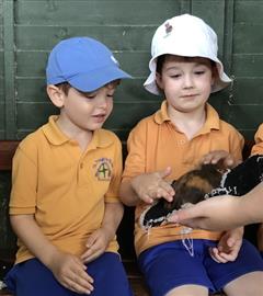 Fun at the Farm