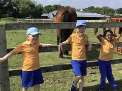 Fun at the Farm